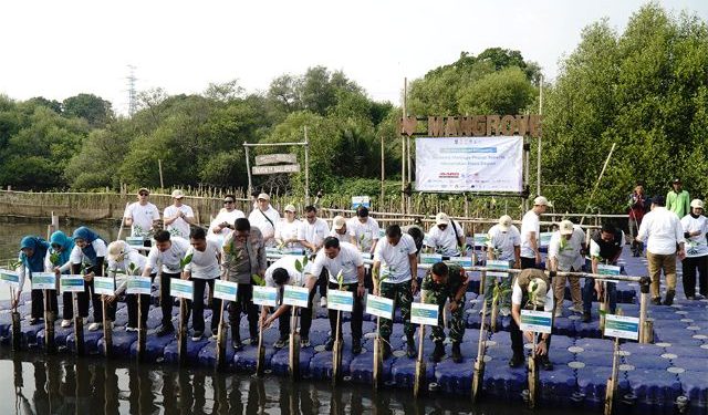 IPC TPK Dukung Rehabilitasi Mangrove Nasional Melalui Kolaborasi TJSL “The North Green Movement”