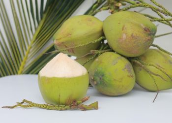 Tetra Pak Hadirkan Solusi Pengolahan dan Pengemasan Terintegrasi di World Coconut Day 2026