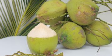Tetra Pak Hadirkan Solusi Pengolahan dan Pengemasan Terintegrasi di World Coconut Day 2026