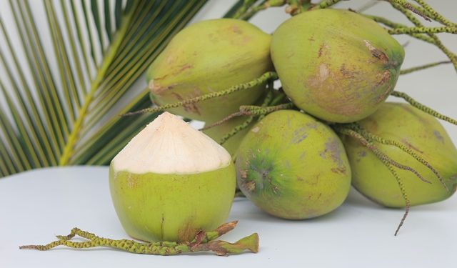 Tetra Pak Hadirkan Solusi Pengolahan dan Pengemasan Terintegrasi di World Coconut Day 2026
